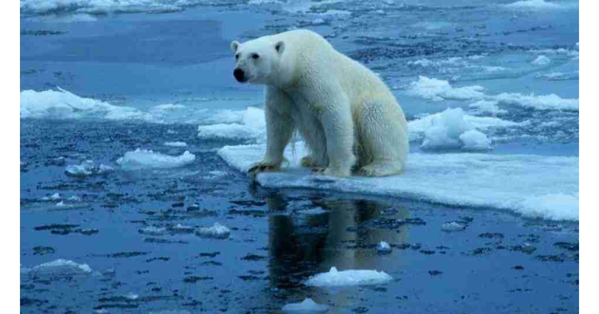 Küresel Isınma Nedir? Nasıl Önlenir? Küresel Isınmanın Nedenleri ve Sonuçları