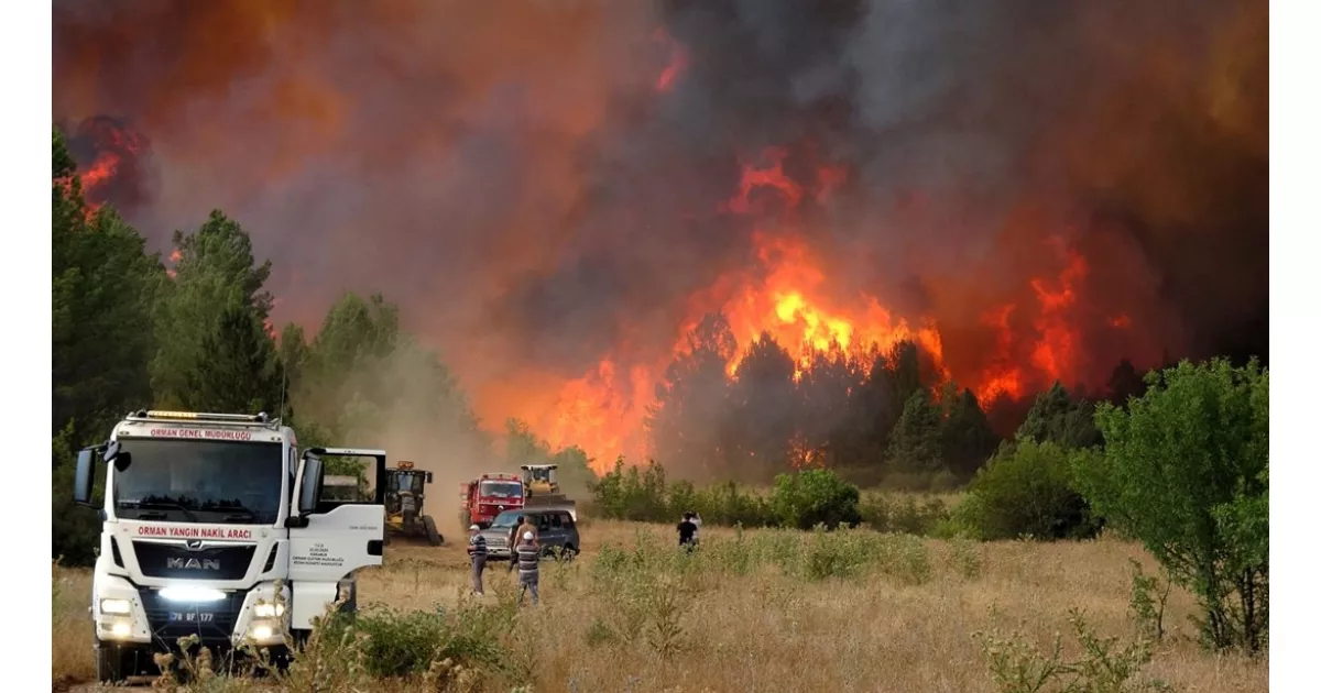 Bilecik, Sakarya, Eskişehir ve Karabük'te çiftçiler orman yangınlarına karşı önlem olarak çukur kazmaya başladı.