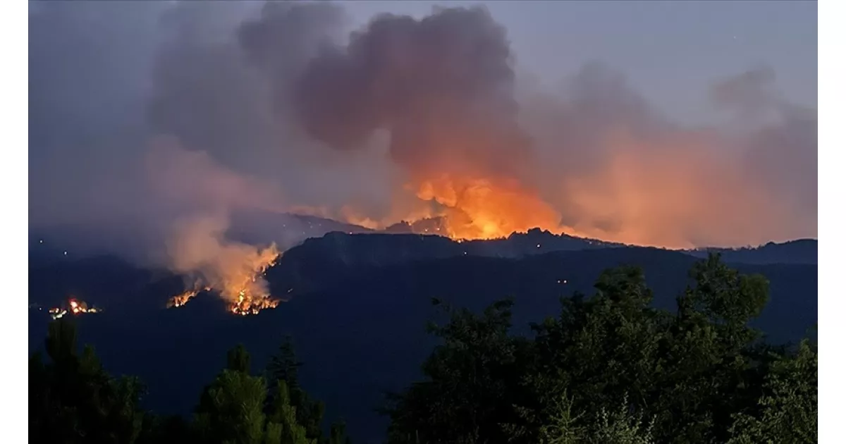 Eskişehir orman yangınına müdahale eden 5 orman işçisi ve 5 AKUT çalışanı şehit oldu.