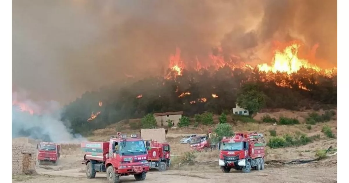 Eskişehir orman yangınında alevler arasında kalan 10 kişinin kimlikleri netleşti