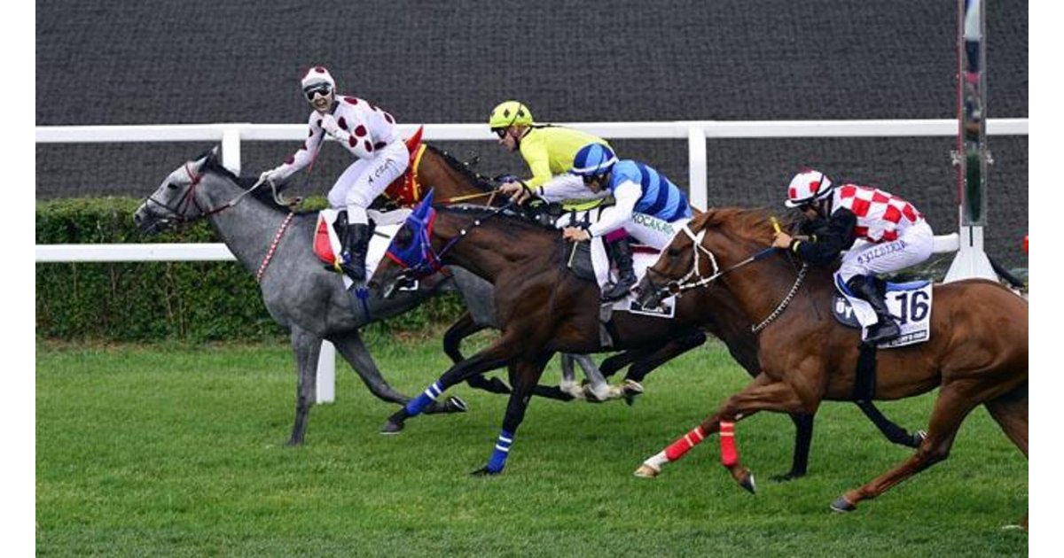 Altılı ganyan ne verir?