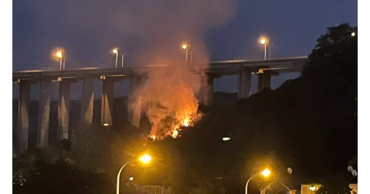 İstanbul Beykoz’da orman yangını çıktı, çok sayıda itfaiye ekipleri müdahale ediyor.