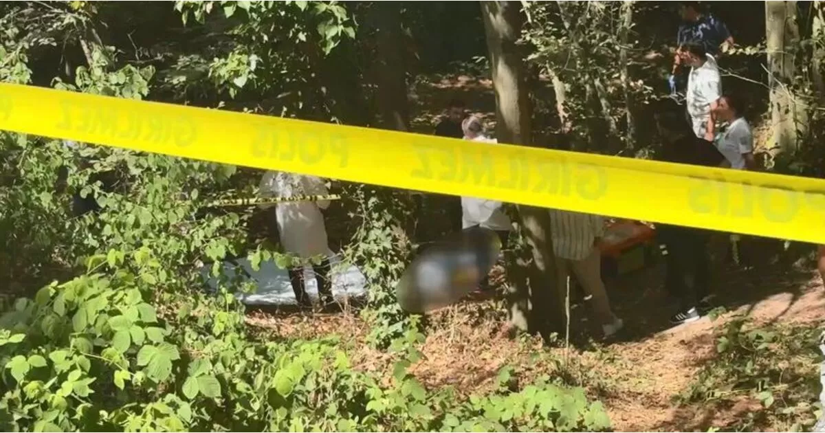 İstanbul ormanlık alanda başında çöp poşetiyle ölü bulundu. Olayla ilgili soruşturma sürüyor.