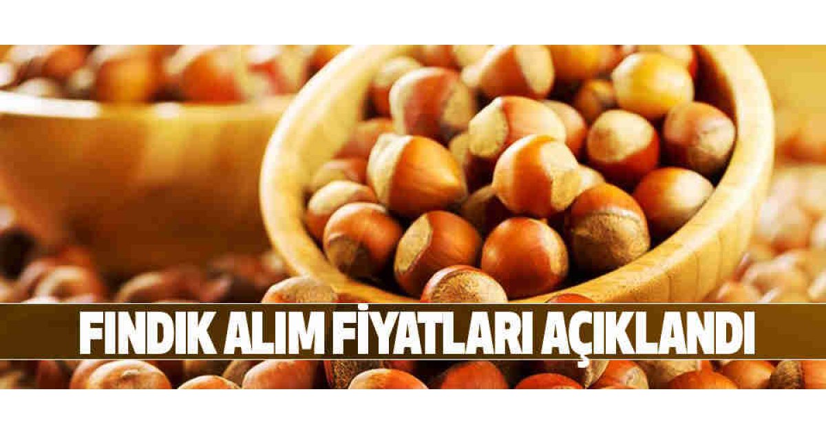 Fındıkta Son Dakika: TMO 1 Kasım'da fındık alımına başlıyor...
