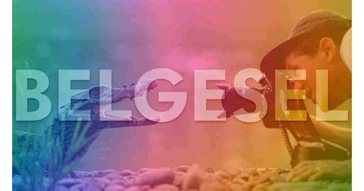 Belgesel izlemeyi sevenlere IMDb puanı en yüksek en iyi belgesel önerileri