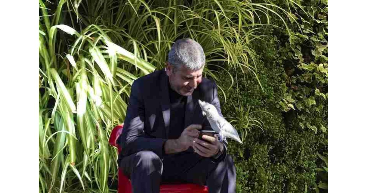 Bahçesinde 25 farklı hayvan besleyen adam konuştu: Bana stres yasak!