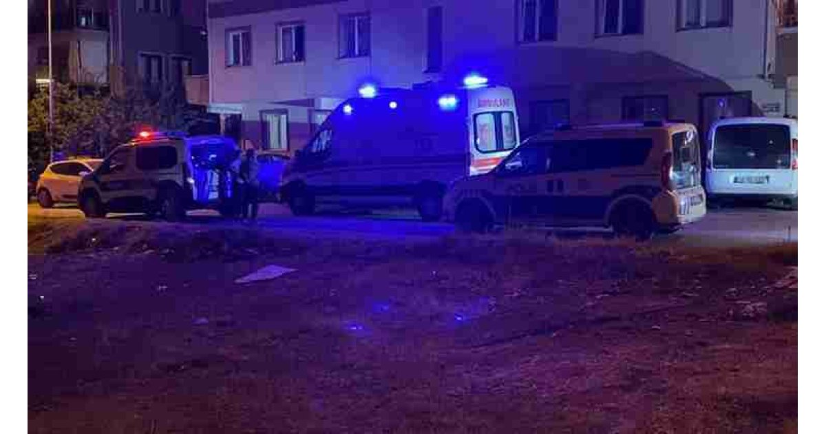 Bursa'da evlat dehşeti: Babasını döverek öldürdü