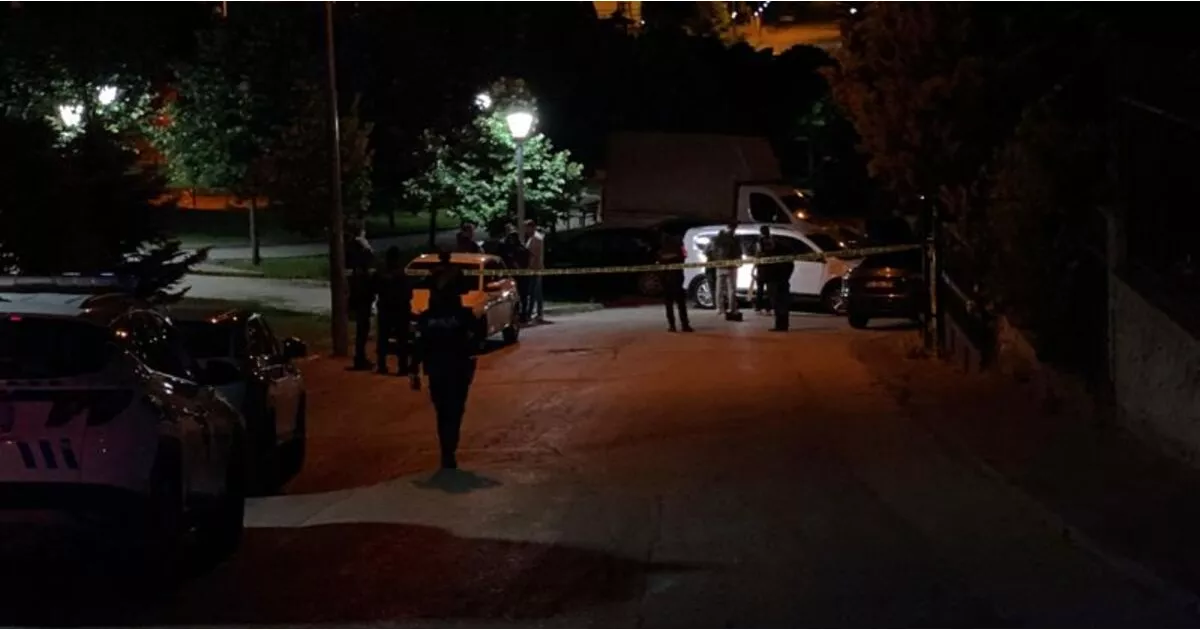 Ankara'da kız isteme tartışmasında vurulan polis memuru Furkan K. hayatını kaybetti. Olay, evlilik planları yapan kuzeni için parkta yapılan buluşmada meydana geldi.