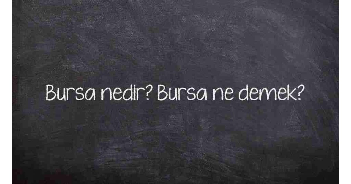 Bursa nedir? Bursa ne demek?