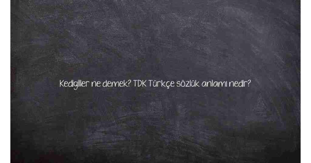 Kedigiller ne demek? TDK Türkçe sözlük anlamı nedir?