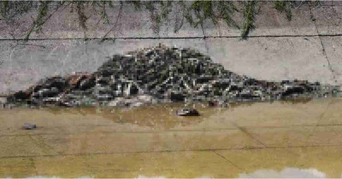 Sulama kanalında korkunç görüntü! 