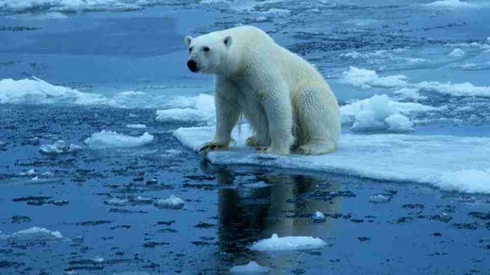 Küresel Isınma Nedir? Nasıl Önlenir? Küresel Isınmanın Nedenleri ve Sonuçları