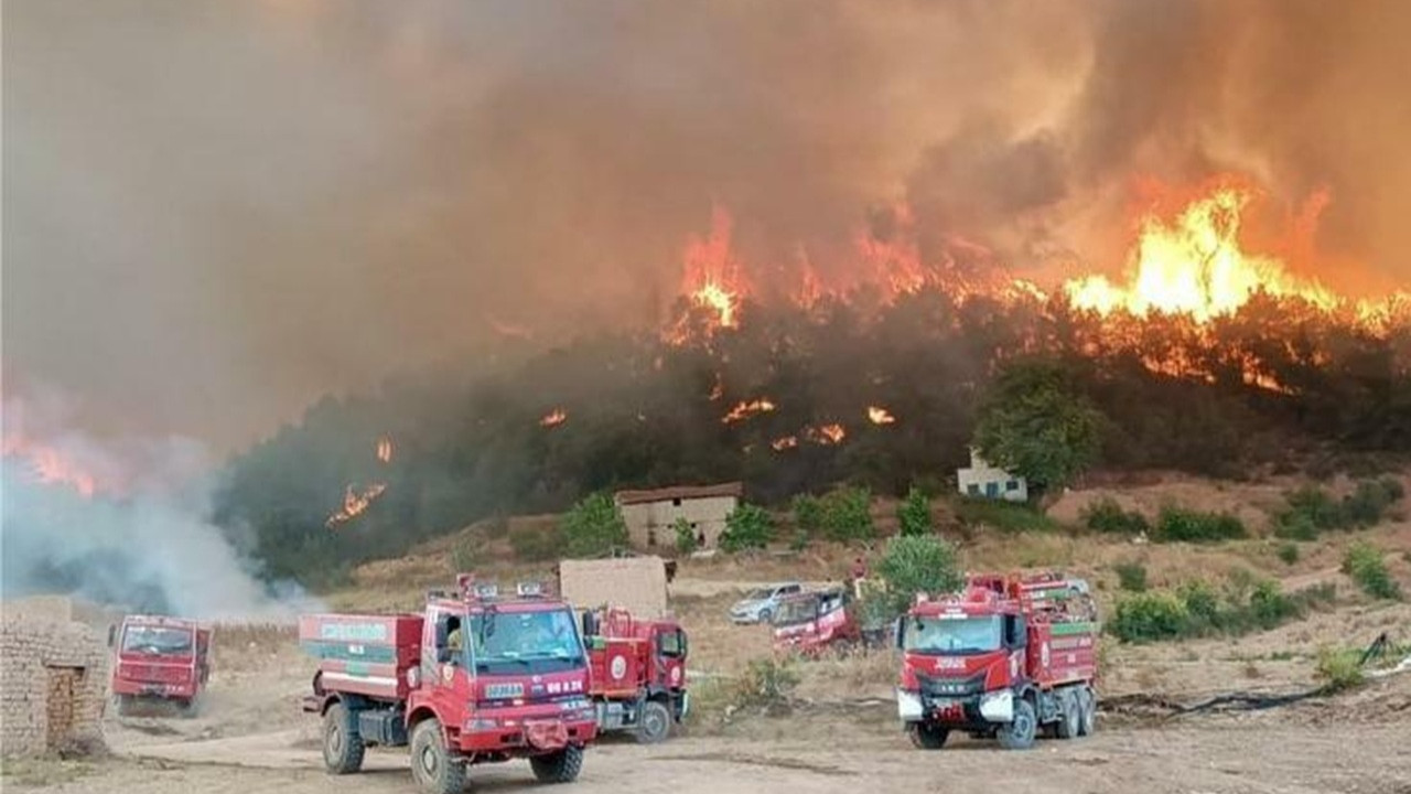 Eskişehir orman yangınında alevler arasında kalan 10 kişinin kimlikleri netleşti