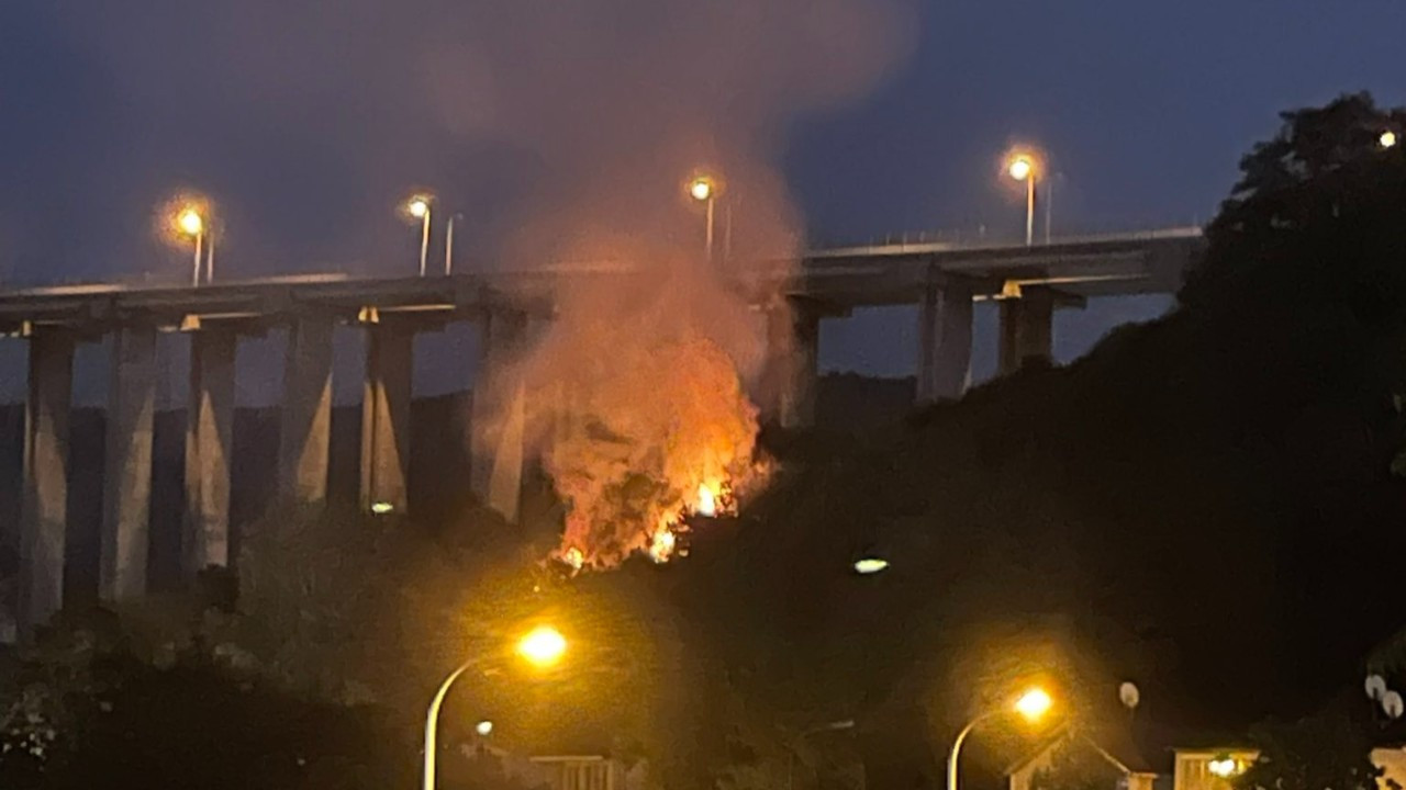 İstanbul Beykoz’da orman yangını çıktı, çok sayıda itfaiye ekipleri müdahale ediyor.