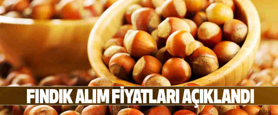 Fındıkta Son Dakika: TMO 1 Kasım'da fındık alımına başlıyor...