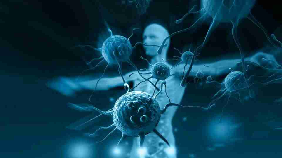 Bağışıklık sistemi nasıl güçlendirilir? Bağışıklık sistemi nasıl korunur?