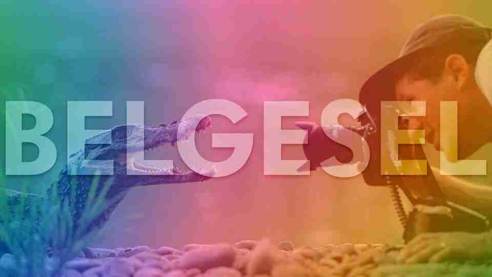 Belgesel izlemeyi sevenlere IMDb puanı en yüksek en iyi belgesel önerileri