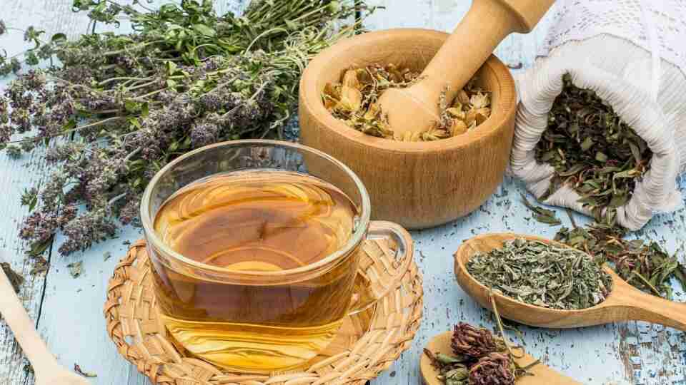 Rezenenin ve rezene çayının faydaları nelerdir? Rezene çayı nasıl yapılır?