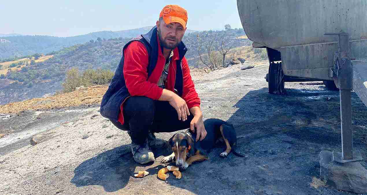 Her şeyi yandı, simidini 'Yufka'yla paylaştı