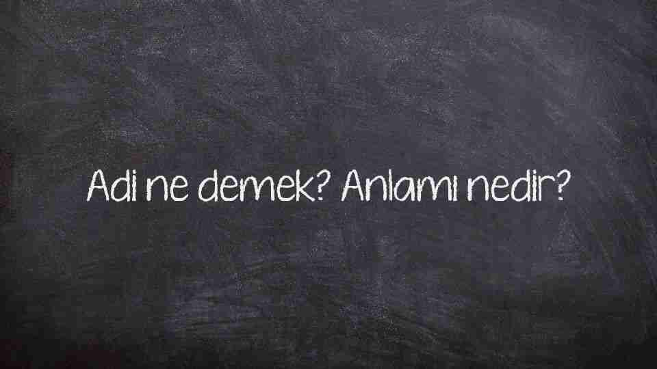 Adi ne demek? Anlamı nedir?