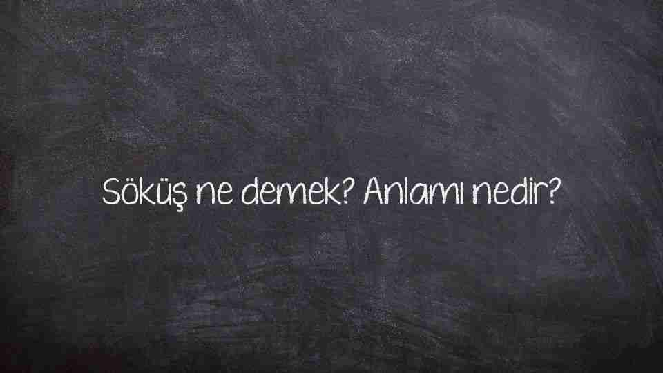 Sokuş ne demek? Sokuş anlamı nedir?
