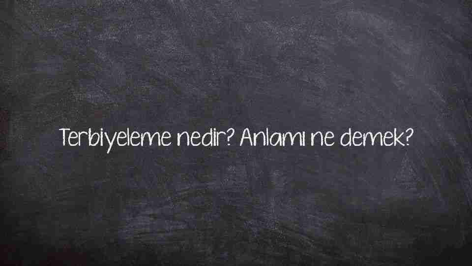 Terbiyeleme nedir? Anlamı ne demek?