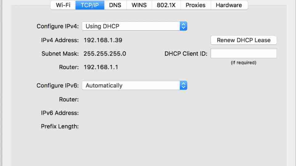 IP Adresim Ne? IP Adresim Ne?