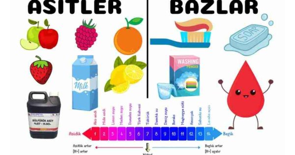Baz kısaca kelime anlamı ne demek?