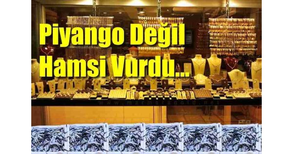 Hamsi karadenizli balıkçıları zengin etti: 2 ayda 16 milyon dolar kazandırdı Hamsi karadenizli balıkçıları zengin etti: 2 ayda 16 milyon dolar kazandırdı