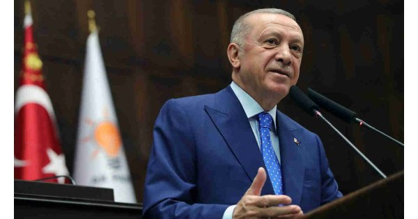 Erdoğan'dan 'sokak hayvanları' açıklaması: Asla taviz yok 