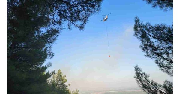 Hatay'da çıkan orman yangını kontrol altına alındı