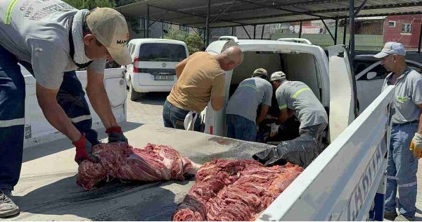 1,5 ton tek tırnaklı hayvan eti ele geçirildi: 1,5 ton tek tırnaklı hayvan eti ele geçirildi: