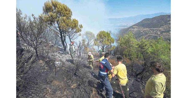 Bozdoğan yanıyor Başkan Özel tatilde Bozdoğan yanıyor Başkan Özel tatilde