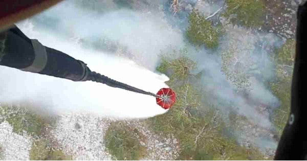 Kazdağları Milli Parkı'nda yangın: Alevlere müdahale ediliyor