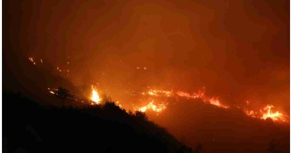 Muğla’nın iki bölgesinde orman yangını