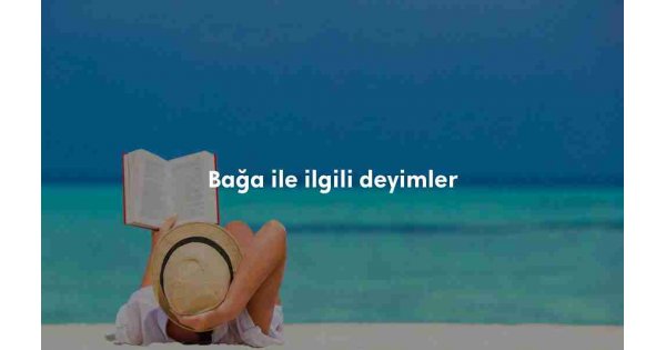 Bağa kısaca sözlük anlamı ne demek? Bağa kısaca sözlük anlamı ne demek?