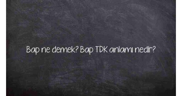 Bap ne demek? Bap TDK anlamı nedir? Bap ne demek? Bap TDK anlamı nedir?