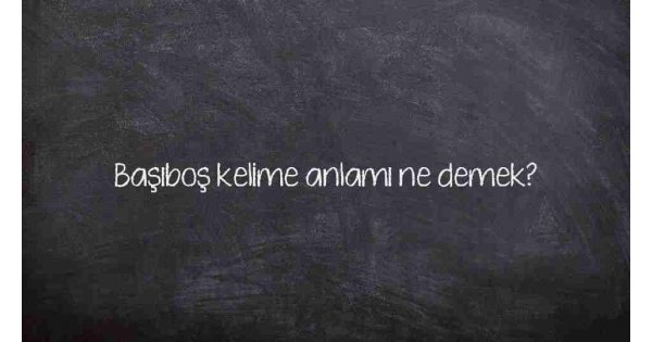 Başıboş kelime anlamı ne demek?
