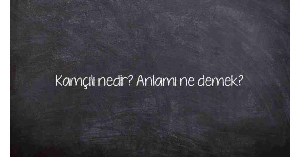 Kamçılı nedir? Anlamı ne demek?