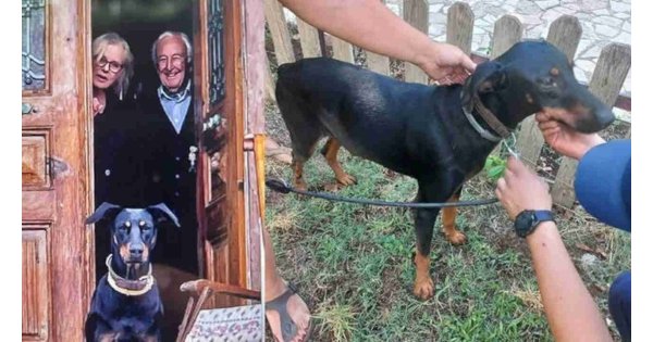 Tina geri dönmüştü: Korhan Berzeg'le ilgili üç ihtimal 