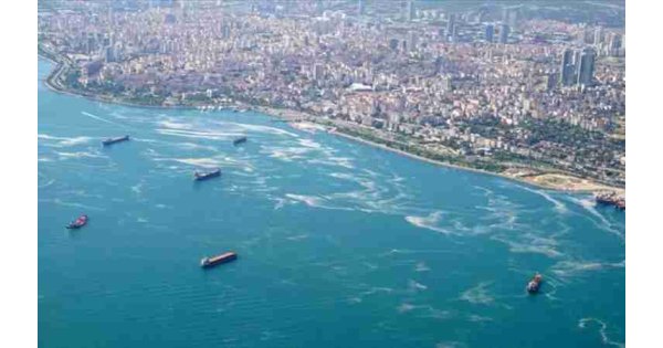 Sonuçlar ürkütücü: Sıcaklık artıyor, oksijen azalıyor Sonuçlar ürkütücü: Sıcaklık artıyor, oksijen azalıyor