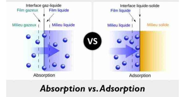 Absorption ne demek Türkçesi nedir İngilizce çeviri sözlük anlamı 