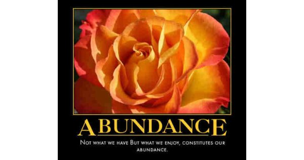 Abundance ne demek İngilizce çeviri sözlük anlamı Türkçesi nedir 