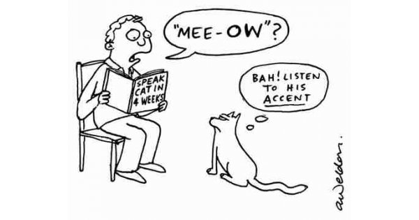 Accent ne demek sözlük anlamı Türkçesi nedir İngilizce çeviri 