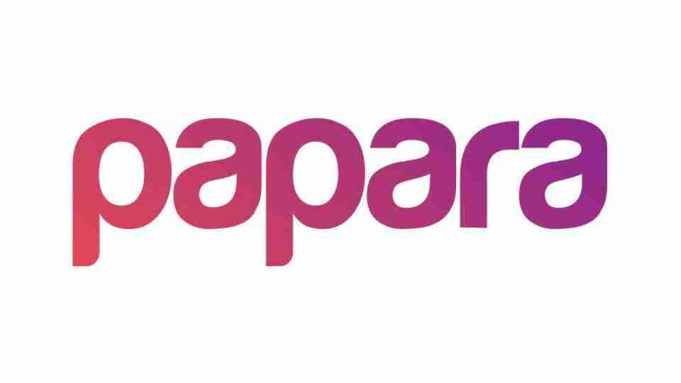 Papara ne demek? Kelime anlamı nedir?