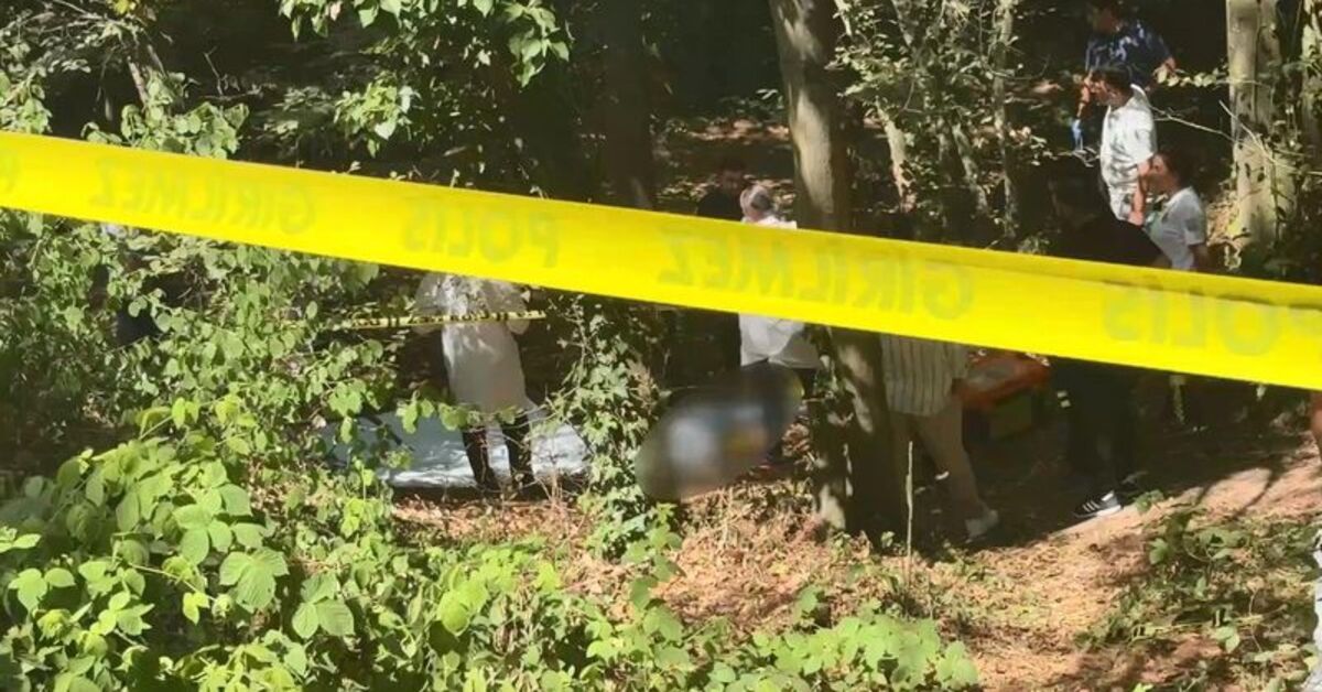 İstanbul ormanlık alanda başında çöp poşetiyle ölü bulundu. Olayla ilgili soruşturma sürüyor.