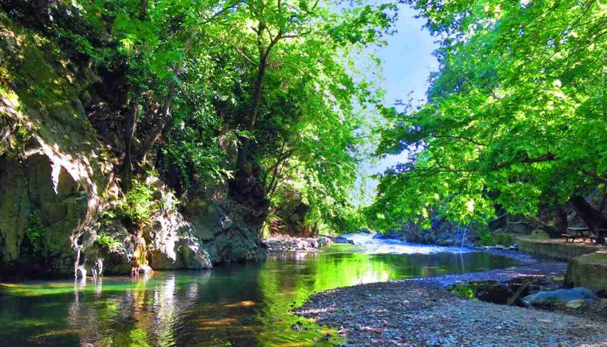 Kaz Dağı Milli Parkı
