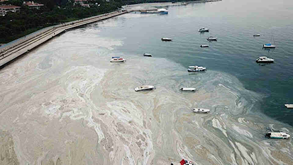 Müsilaj olan bölgelerde denize gireceklere uzmanlardan 'sakın girmeyin' çağrısı geldi!