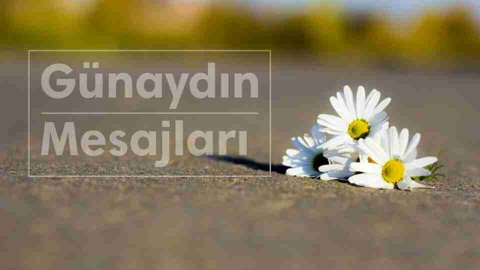 En güzel, duygusal, komik, aşk dolu ve romantik günaydın mesajları...