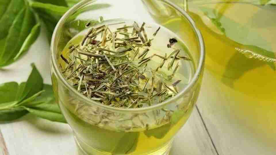Biberiyenin ve biberiye çayının faydaları nelerdir? Biberiye çayı nasıl yapılır? Biberiyenin ve biberiye çayının faydaları nelerdir? Biberiye çayı nasıl yapılır?